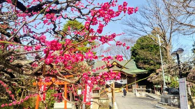 布多天神社の参拝記録