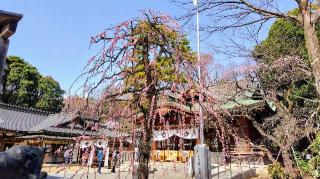 布多天神社の参拝記録(オトギリルさん)