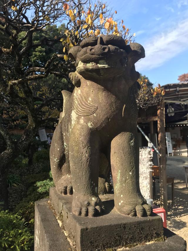 東京都調布市調布ケ丘1-8-1 布多天神社の写真6