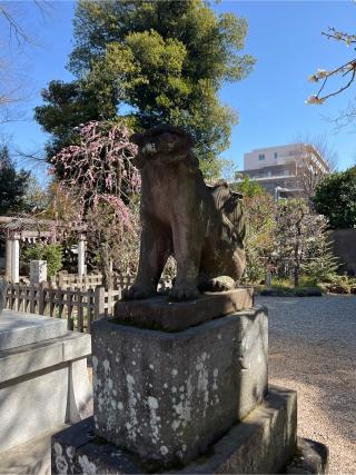 布多天神社の参拝記録(⛩️🐍🐢まめ🐢🐍⛩️さん)
