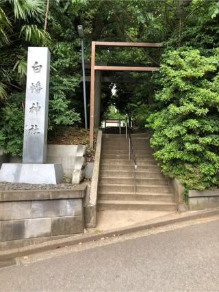 白幡神社の参拝記録(こーちんさん)