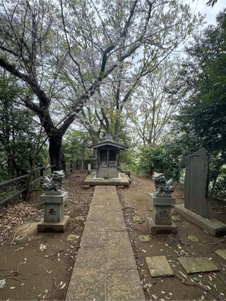 駒岡浅間神社の参拝記録(こーちんさん)