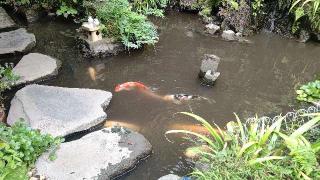 横浜弁財天（大綱金刀比羅境内社）の参拝記録(miyumikoさん)