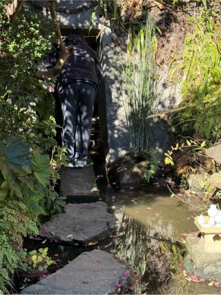 横浜弁財天（大綱金刀比羅境内社）の参拝記録(⛩️🎠🐢まめ🐢🎠⛩️さん)