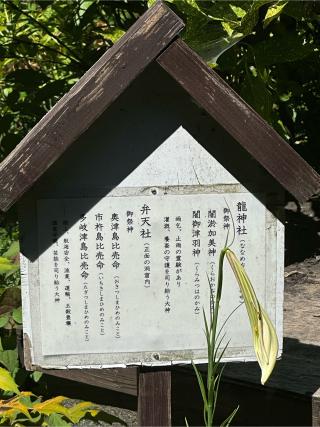 龍神社（大綱金刀比羅神社境内社）の参拝記録(skさん)