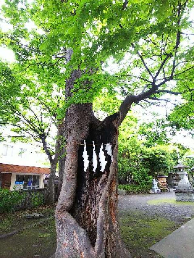 神奈川県横浜市西区中央1ｰ13ｰ1 杉山神社（戸部杉山神社）の写真27