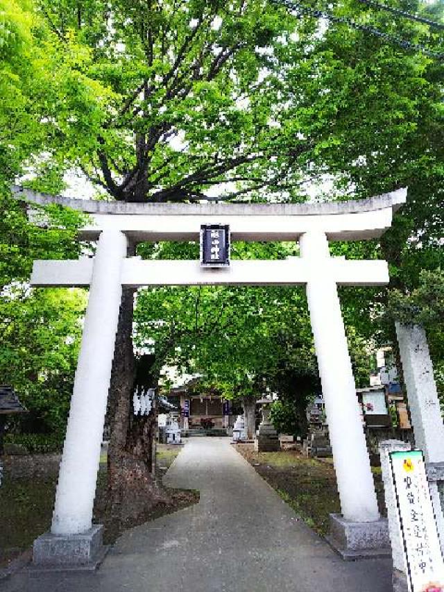 神奈川県横浜市西区中央1ｰ13ｰ1 杉山神社（戸部杉山神社）の写真35