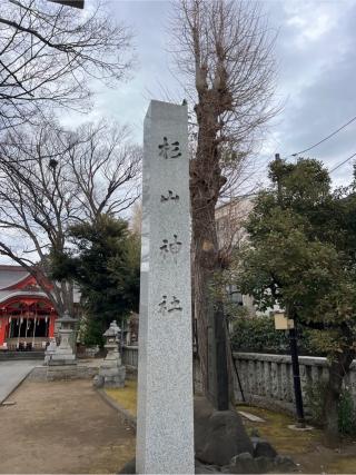 杉山神社（戸部杉山神社）の参拝記録(⛩️🐍🐢まめ🐢🐍⛩️さん)
