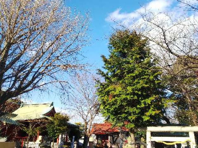 神奈川県横浜市西区浅間町1ｰ19ｰ10 浅間神社の写真15