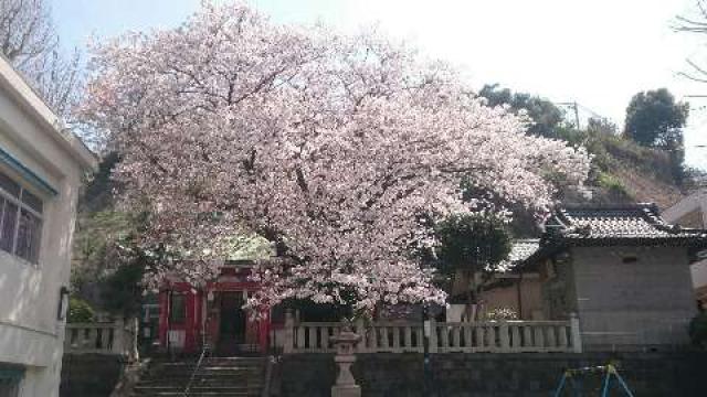 神奈川県横浜市中区元町5ｰ208 嚴島神社（元町厳島神社）の写真5