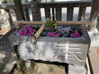 嚴島神社（元町厳島神社）の参拝記録(akamaruさん)