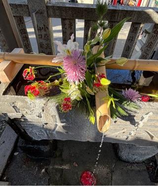 嚴島神社（元町厳島神社）の参拝記録(マ🌸ノさん)