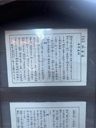 子神社(人不入斗宮)の参拝記録(KoriCoriさん)