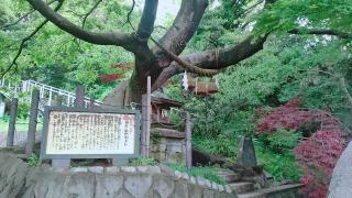 熊野速玉社（本牧神社境内）の参拝記録(miyumikoさん)