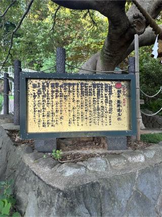 熊野速玉社（本牧神社境内）の参拝記録(KoriCoriさん)