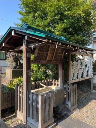諏訪神社の参拝記録(⛩️🐍🐢まめ🐢🐍⛩️さん)