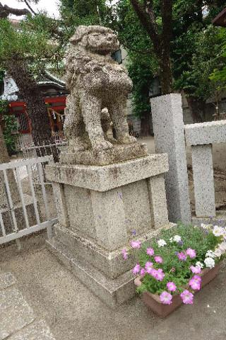 蒔田 杉山神社の参拝記録(ユウさん)