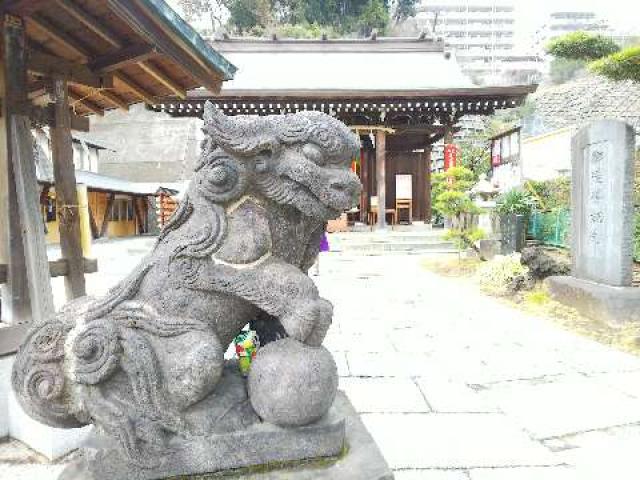 神奈川県横浜市南区南太田2-7-29 杉山神社（横浜水天宮）の写真16