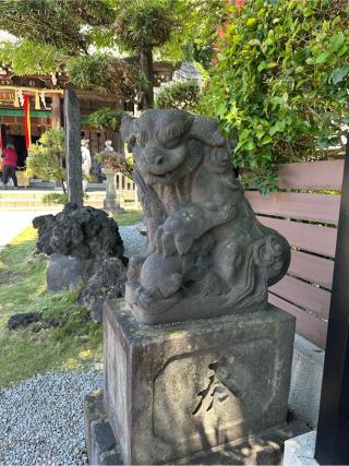 太田 杉山神社（横浜水天宮）の参拝記録(hamaさん)