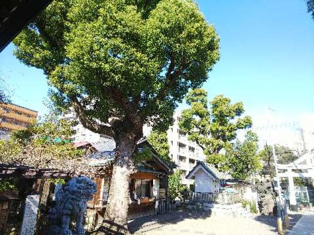 神奈川県横浜市南区山王町5ｰ32 日枝神社（お三の宮）の写真46