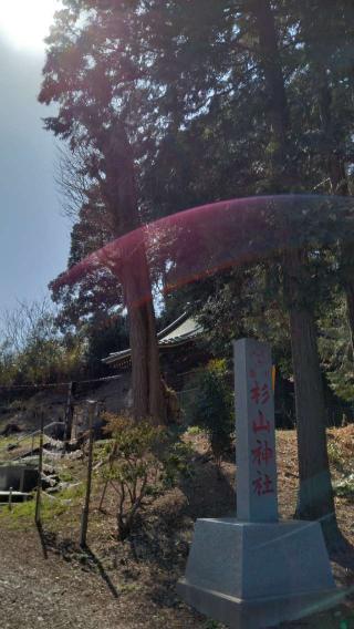 川島杉山神社の参拝記録(Daisy ♂さん)