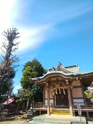 八幡神社の参拝記録(またたびさん)