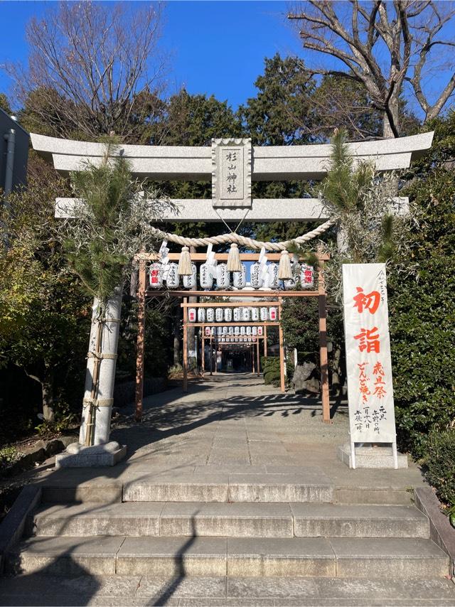 杉山神社（星川杉山神社）の参拝記録9