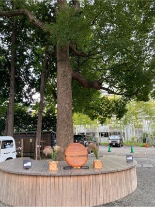 星川 杉山神社の参拝記録(スエさん)