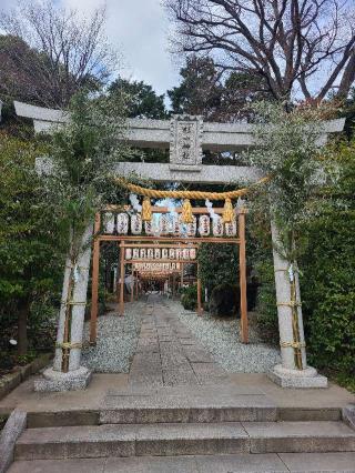 杉山神社（星川杉山神社）の参拝記録(カビジジイさん)