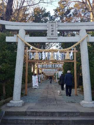 杉山神社（星川杉山神社）の参拝記録(サトリノギさん)