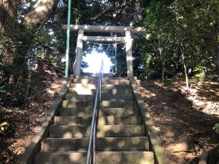 浅間神社（森浅間神社）の参拝記録(こーちんさん)