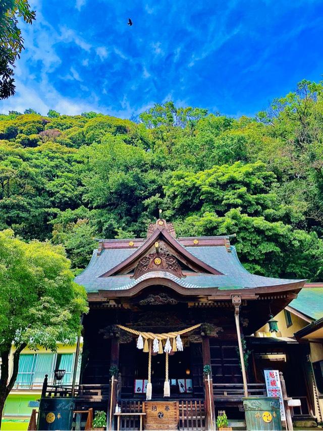 八幡神社（根岸八幡神社）の参拝記録8