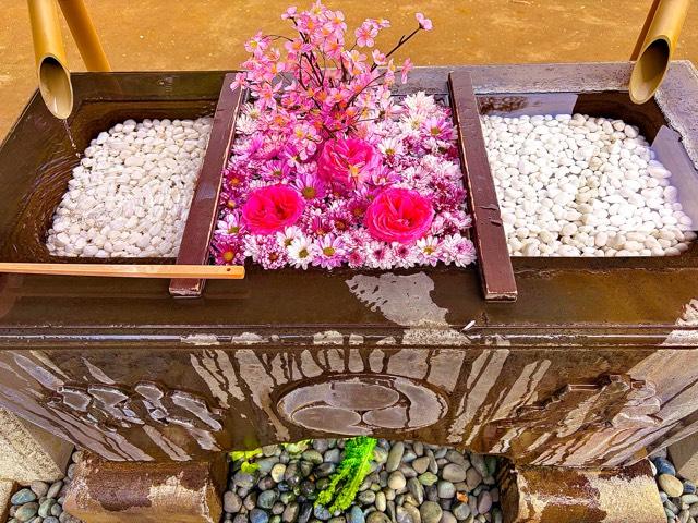 八幡神社（根岸八幡神社）の参拝記録6