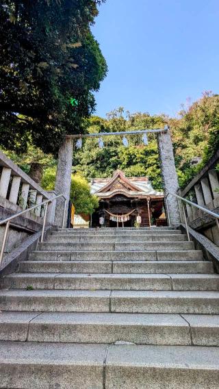 八幡神社（根岸八幡神社）の参拝記録(えのさんさん)
