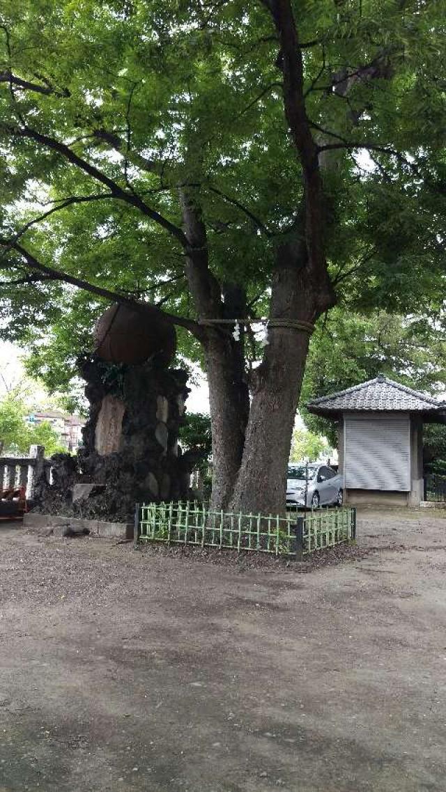 神奈川県横浜市磯子区原町10ｰ9 八幡神社（八幡橋八幡神社）の写真2