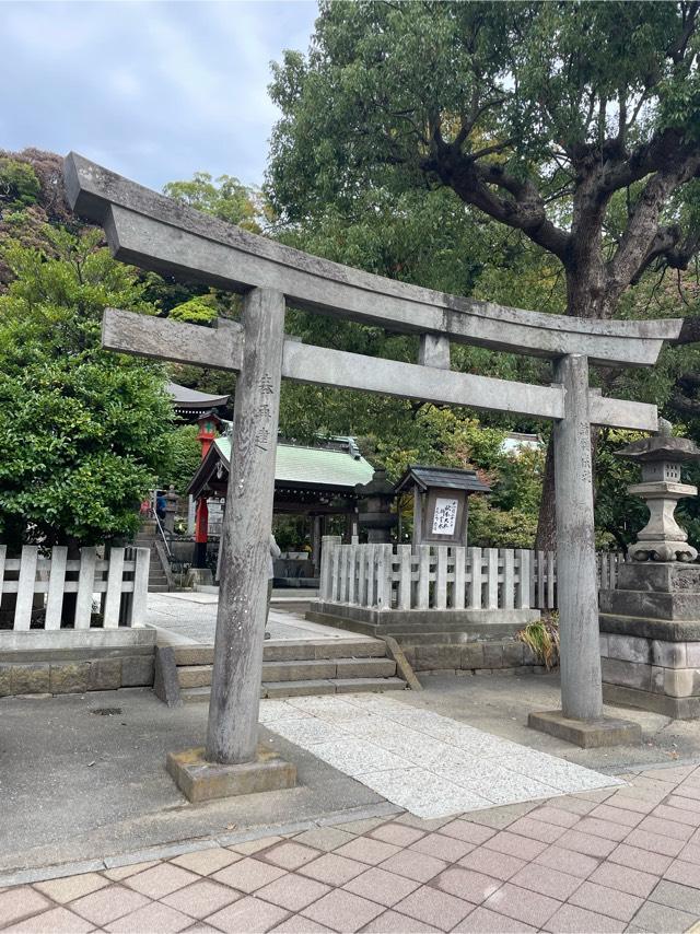 瀬戸神社の参拝記録5