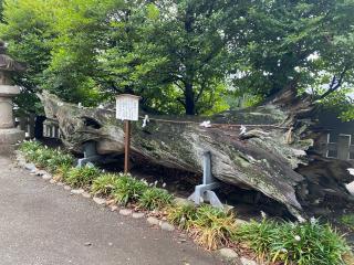 瀬戸神社の参拝記録(チョコバナナさん)