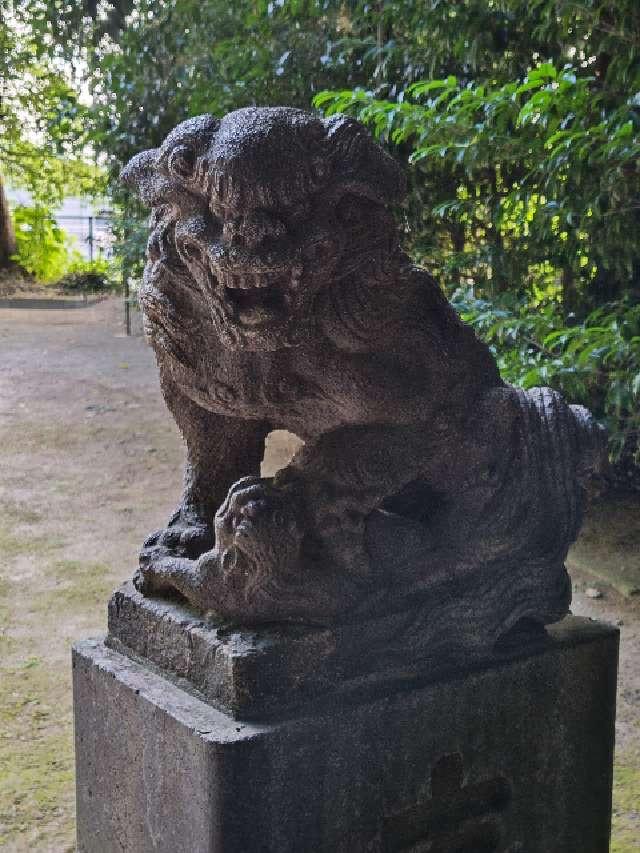 富岡八幡宮の参拝記録7