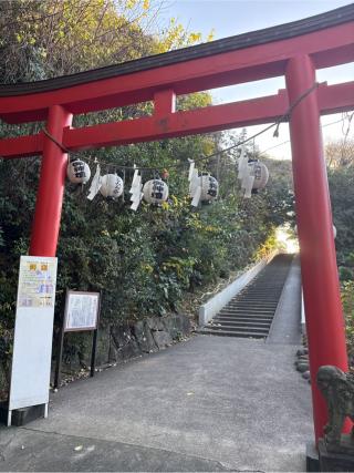 富岡八幡宮の参拝記録(⛩️🐍🐢まめ🐢🐍⛩️さん)