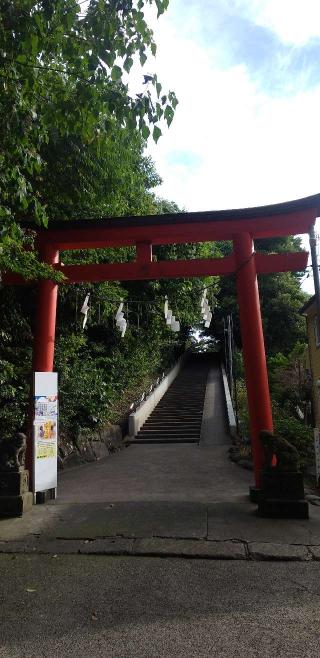 富岡八幡宮の参拝記録(ほんしんさん)