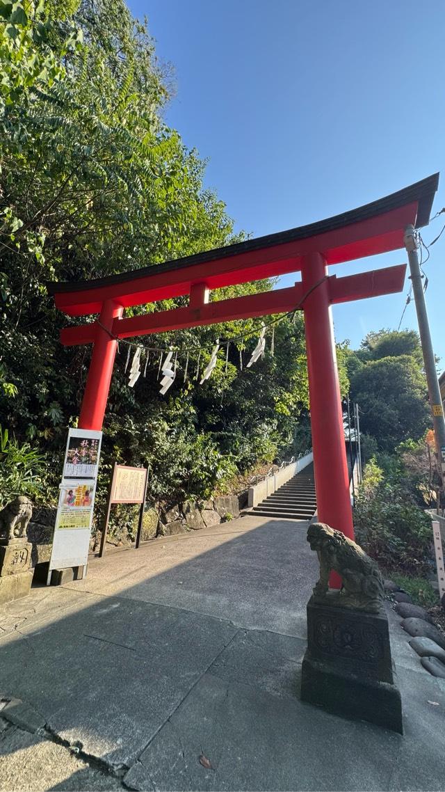 富岡八幡宮の参拝記録6