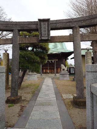 洲崎神社の参拝記録(なまむぎさん)