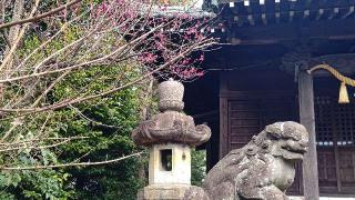 駒林神社の参拝記録(miyumikoさん)