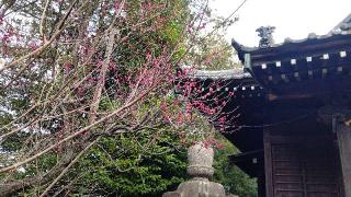 駒林神社の参拝記録(miyumikoさん)