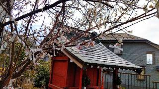 稲荷神社(駒林神社境内)の参拝記録(miyumikoさん)