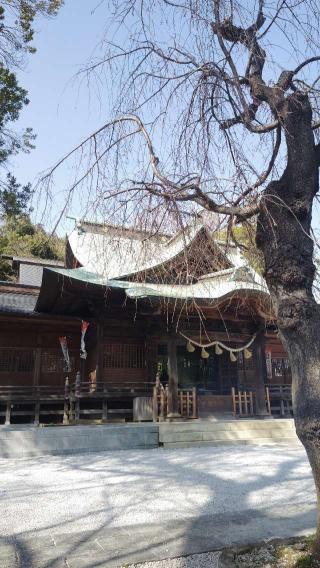 師岡熊野神社の参拝記録(ミリさん)