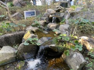 師岡熊野神社の参拝記録(ハコさん)