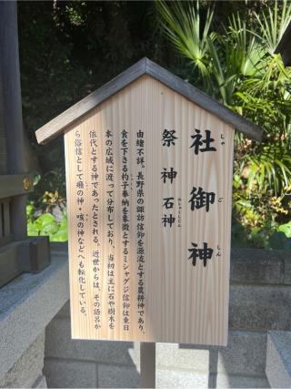 社御神(師岡熊野神社境内社)の参拝記録(⛩️🎠🐢まめ🐢🎠⛩️さん)