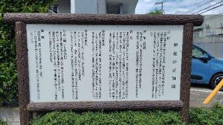 樽町 杉山神社の参拝記録(りんごぐみさん)
