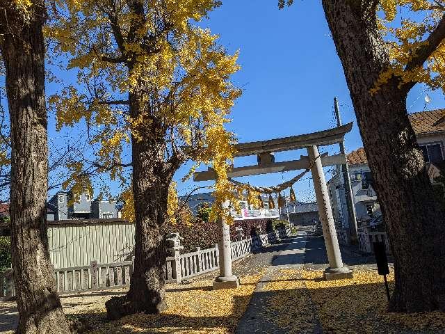 樽町 杉山神社の参拝記録4